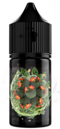 Жидкость SOAK L 30ml 20mg (Cactus Lemonade (Лимонад с кактусом), Light)